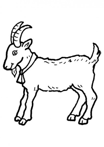 Goat Coloring Page for Kids - Free Printable Animal Illustration