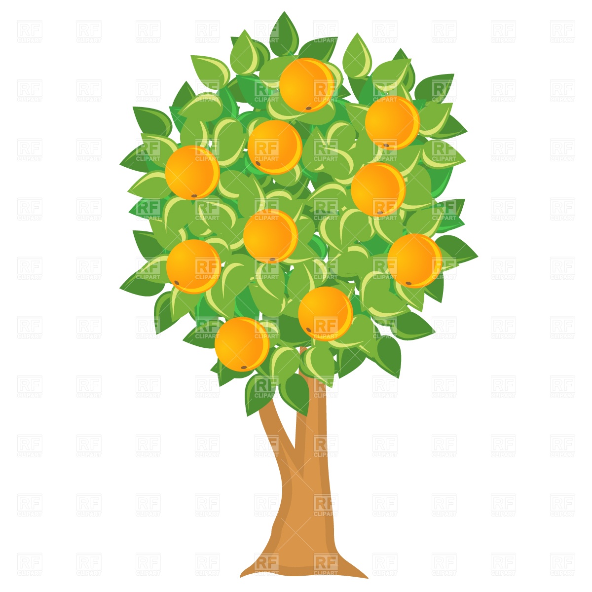 cartoon orange tree