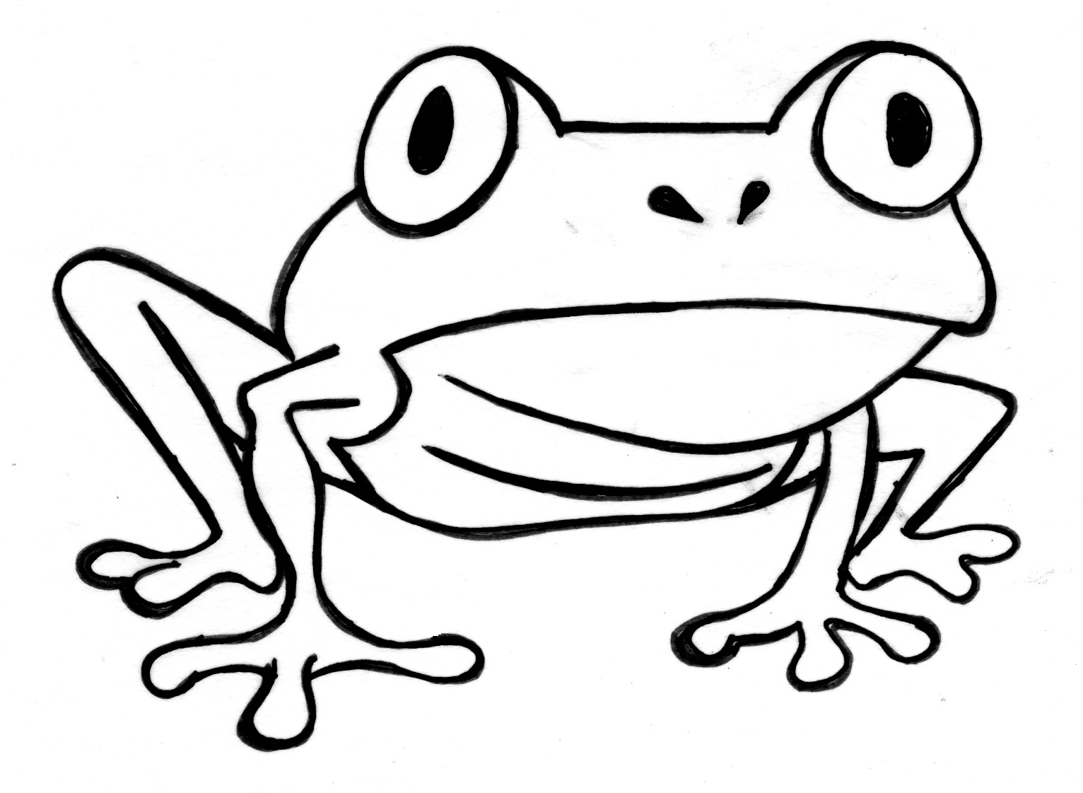 Frog Outline 2