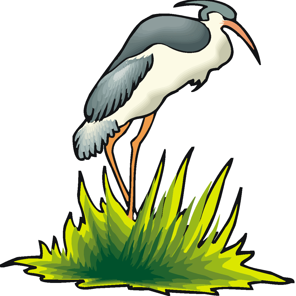 Images For  Great Blue Heron Clip Art