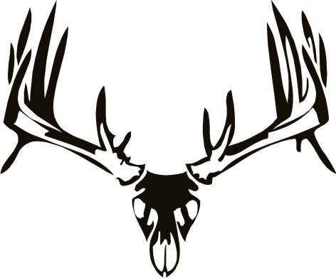 Deer Skull Wall Decal 2 - Custom Wall Graphics - Clipart library 