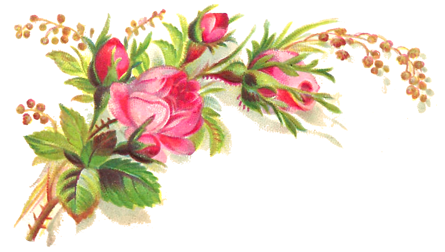 Antique Images: Free Flower Clip Art: Pink Rose Bouquet Graphic 