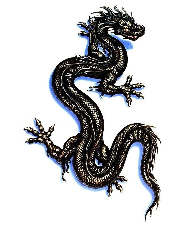 10 Dragon Tattoo Ideas Youll Have To See To Believe  alexie
