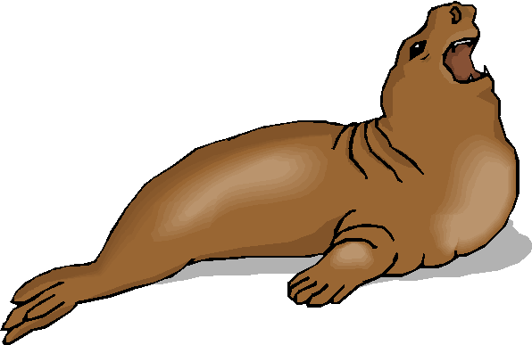 Sea Lion Illustration - Roaring Marine Mammal Clipart