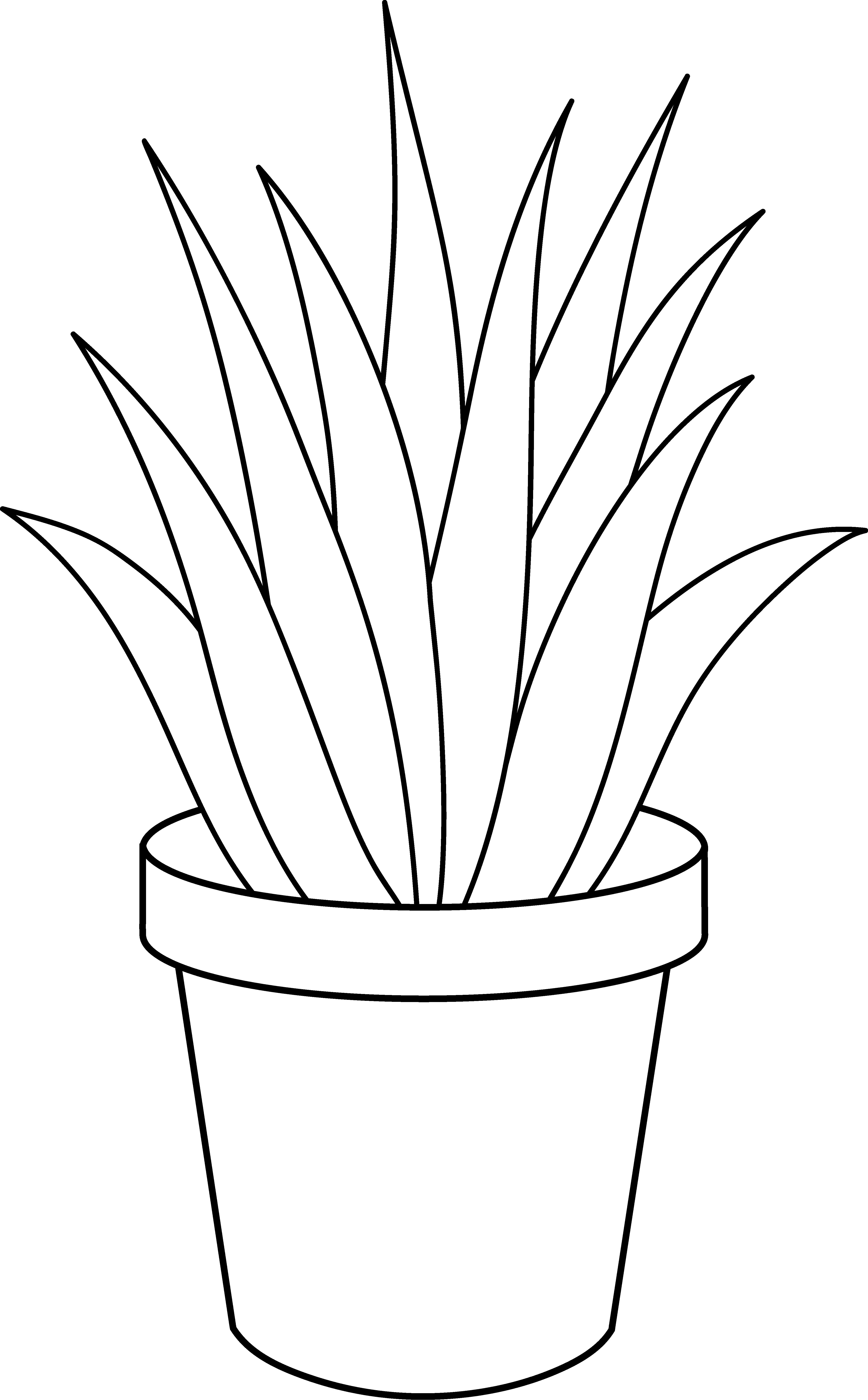Aloe Vera Plant Line Art - Free Clip Art