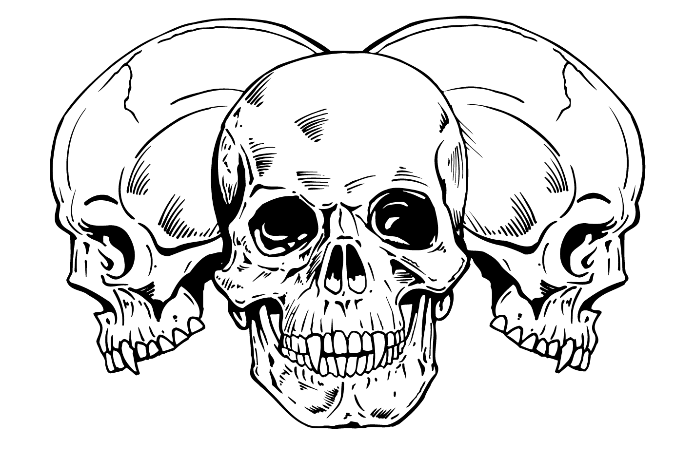 Three skulls with wings Three danger skulls with wings for tattoo or  mascot design  CanStock