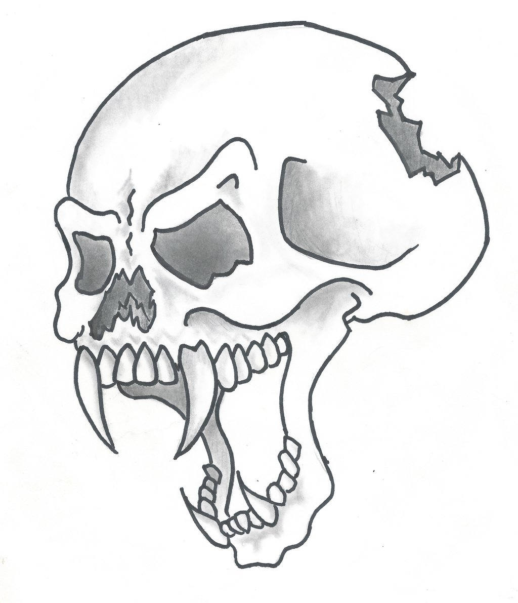 Free Skull Drawing Images Download Free Skull Drawing Images png images  Free ClipArts on Clipart Library