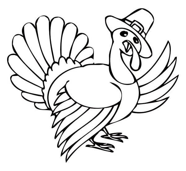 Thanksgiving Turkey Coloring Page - Free Printable for Kids