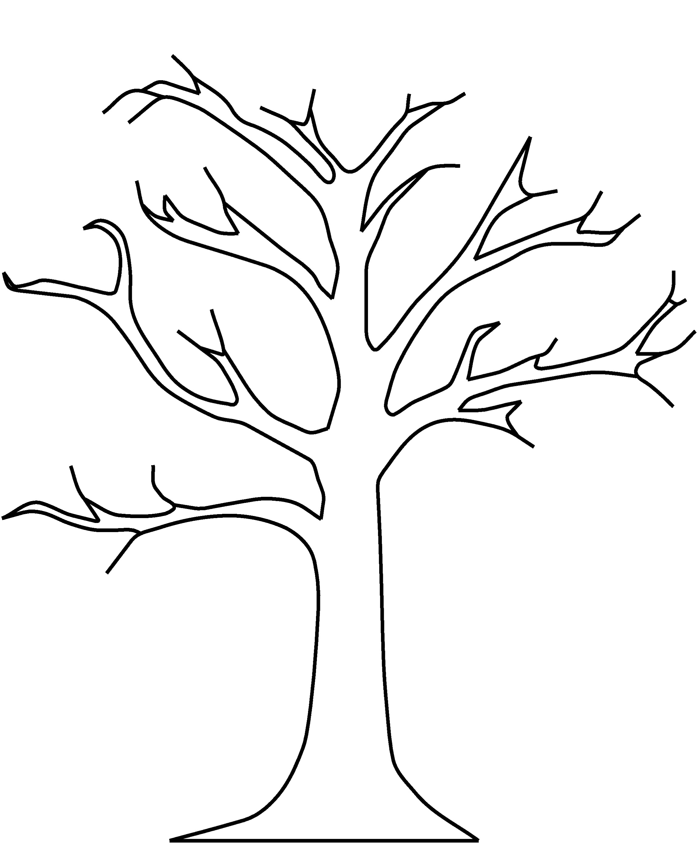 Outline Of A Tree 5
