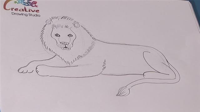 A new lion drawing 😄 #lion #lions #drawingvideo #artvideo #drawing #w... |  TikTok