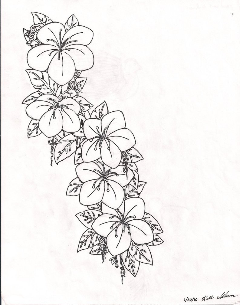 Flowers Drawings  Flowers flower Tattoo tattoostencil ste  Flickr