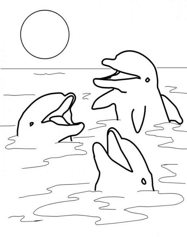 dolphins craft - Clip Art Library