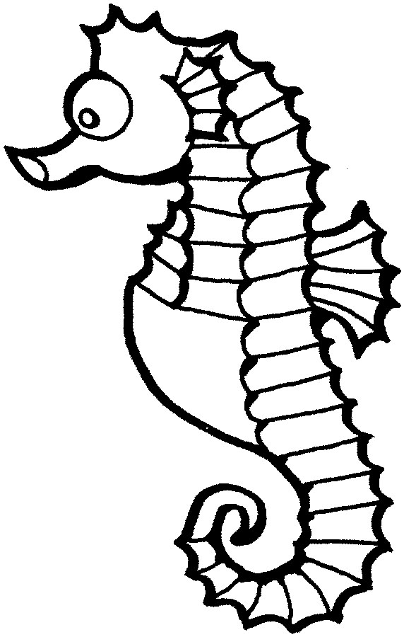 Sea Horse Drawing