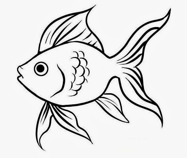 Cute fish in doodle style. Food products. Vector doodle illustration. Sketch.  8763310 Vector Art at Vecteezy
