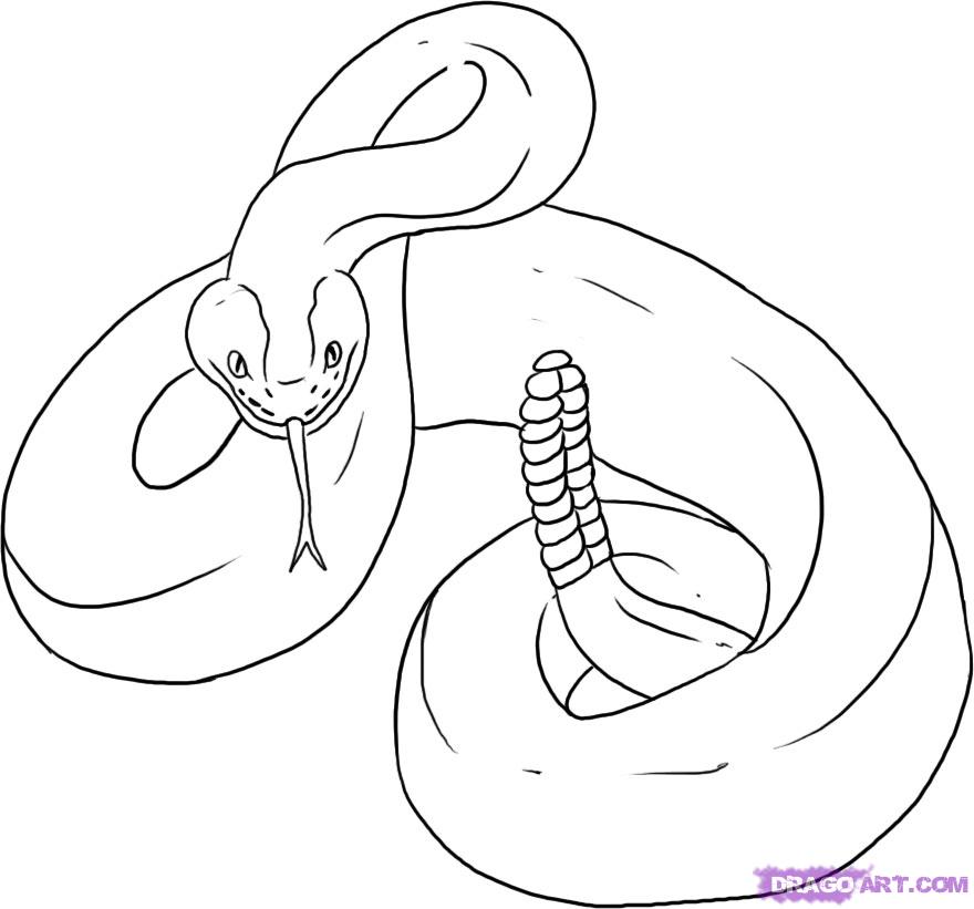 Scaly Snake Clip Art Library