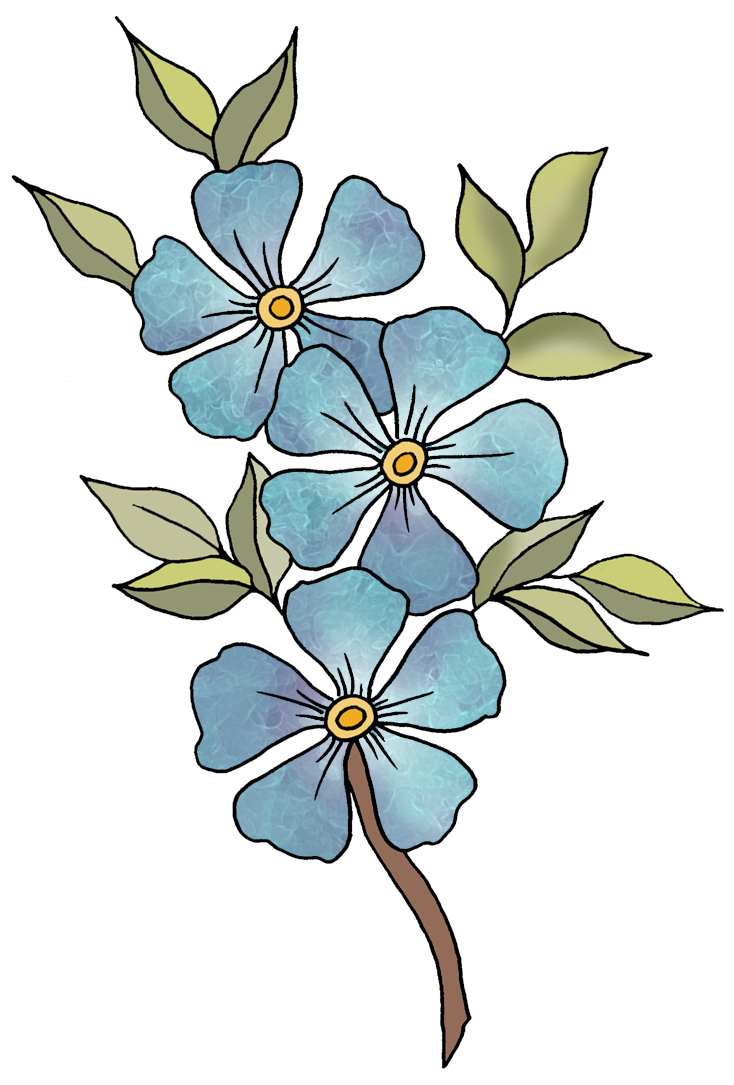 Blue Flower Drawing Easy ~ Vergissmeinnicht Blaue Nots Isolated ...