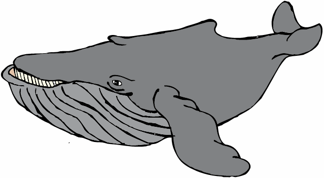 preschool printable whale | Clipart library - Free Clipart Images