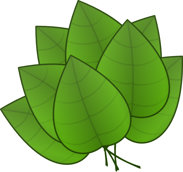 cartoon green leaves