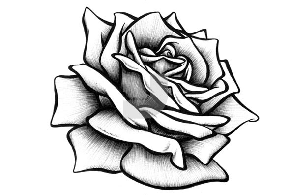 260 Silhouette Of Rose Tattoo Stencil Illustrations RoyaltyFree Vector  Graphics  Clip Art  iStock
