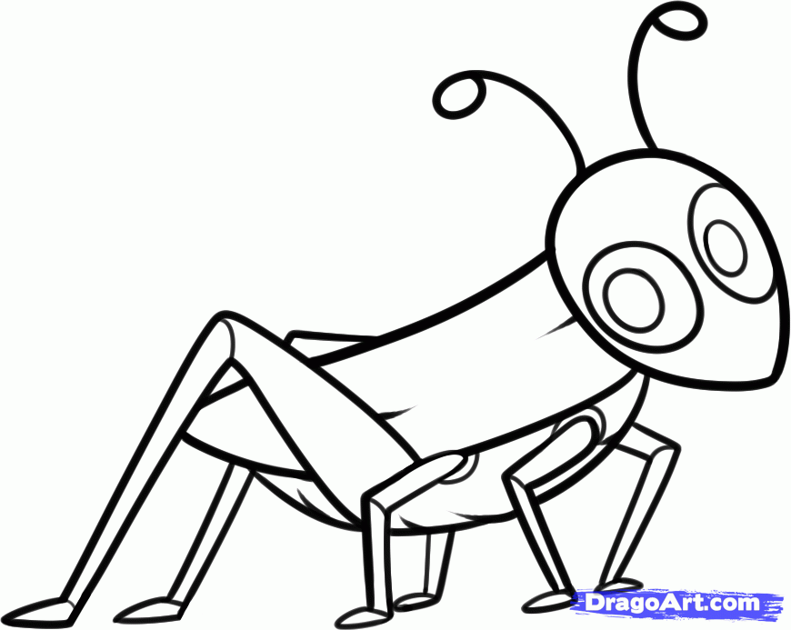 8 Simple Steps To Create A Nice Grasshopper Drawing – How To Draw A  Grasshopper | Drawings, Draw, Easy drawings