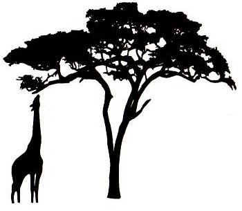 Black silhouette of a giraffe reaching up to an acacia tree against a white background.