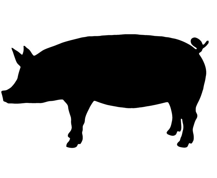 Pig Silhouette | xoVain