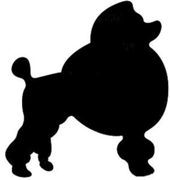 Poodle image - vector clip art online, royalty free  public domain