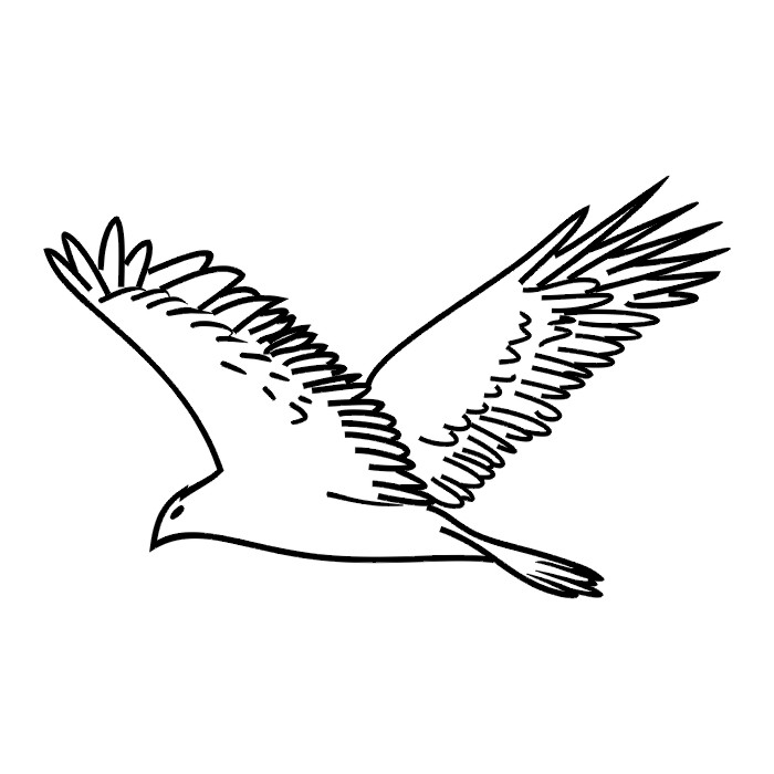 Free Black And White Bird Tattoo, Download Free Black And White Bird ...