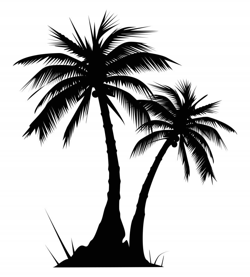 palm tree logo free - Clip Art Library
