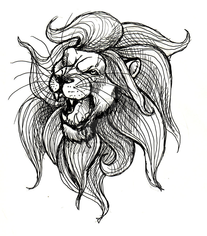 Lion Line Drawing