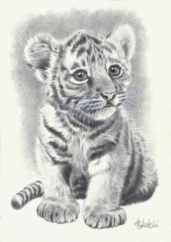 50 Professional Photo Realistic Animal Drawings in 2023  Realistic animal  drawings Pencil drawings of animals Animal drawings