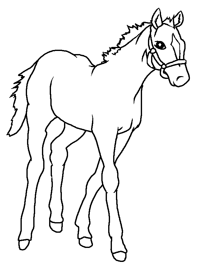 Free Pictures Of Horse Drawings, Download Free Pictures Of Horse ...