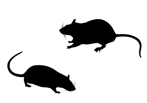 rat story on Clipart library | 101 Dalmatians, Rats and Silhouette