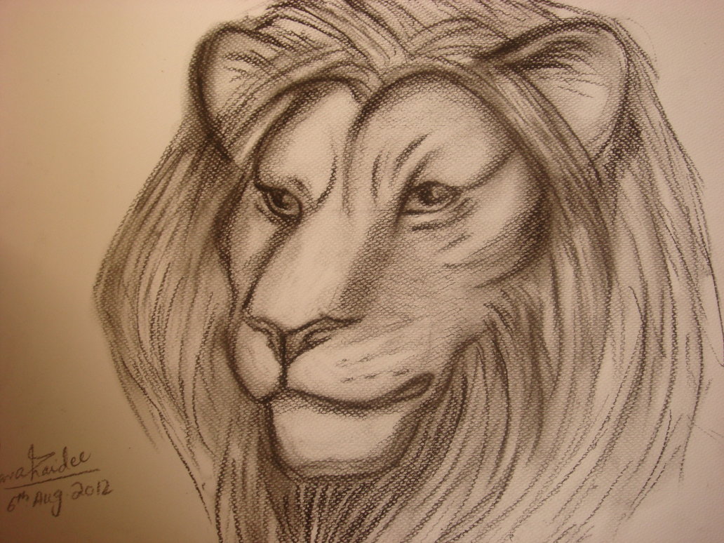 Babbar Sher (Lion) | Drawing artwork, Artwork, Male sketch