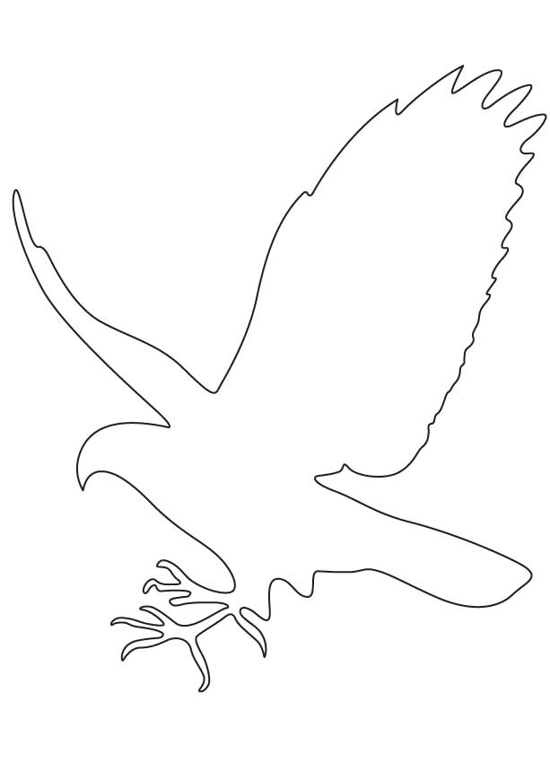 Falcon Outline Images  Pictures - Becuo
