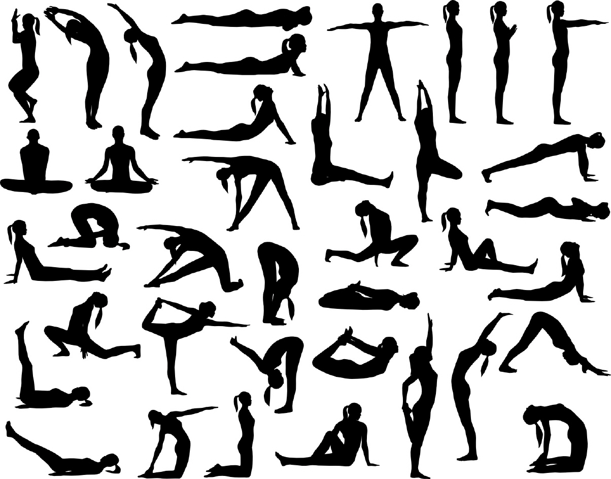 Line Drawing Yoga Poses Stock Illustrations – 267 Line Drawing Yoga Poses  Stock Illustrations, Vectors & Clipart - Dreamstime