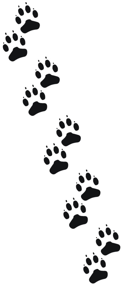Free Cat Prints, Download Free Cat Prints png images, Free ClipArts on
