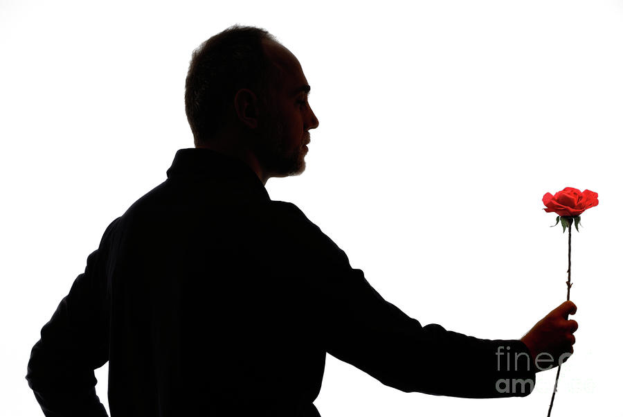 Silhouette Of Mature Man Holding Rose by Sami Sarkis - Silhouette 