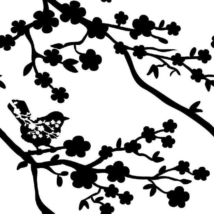bird blossoms branch | Silhouette | Clipart library