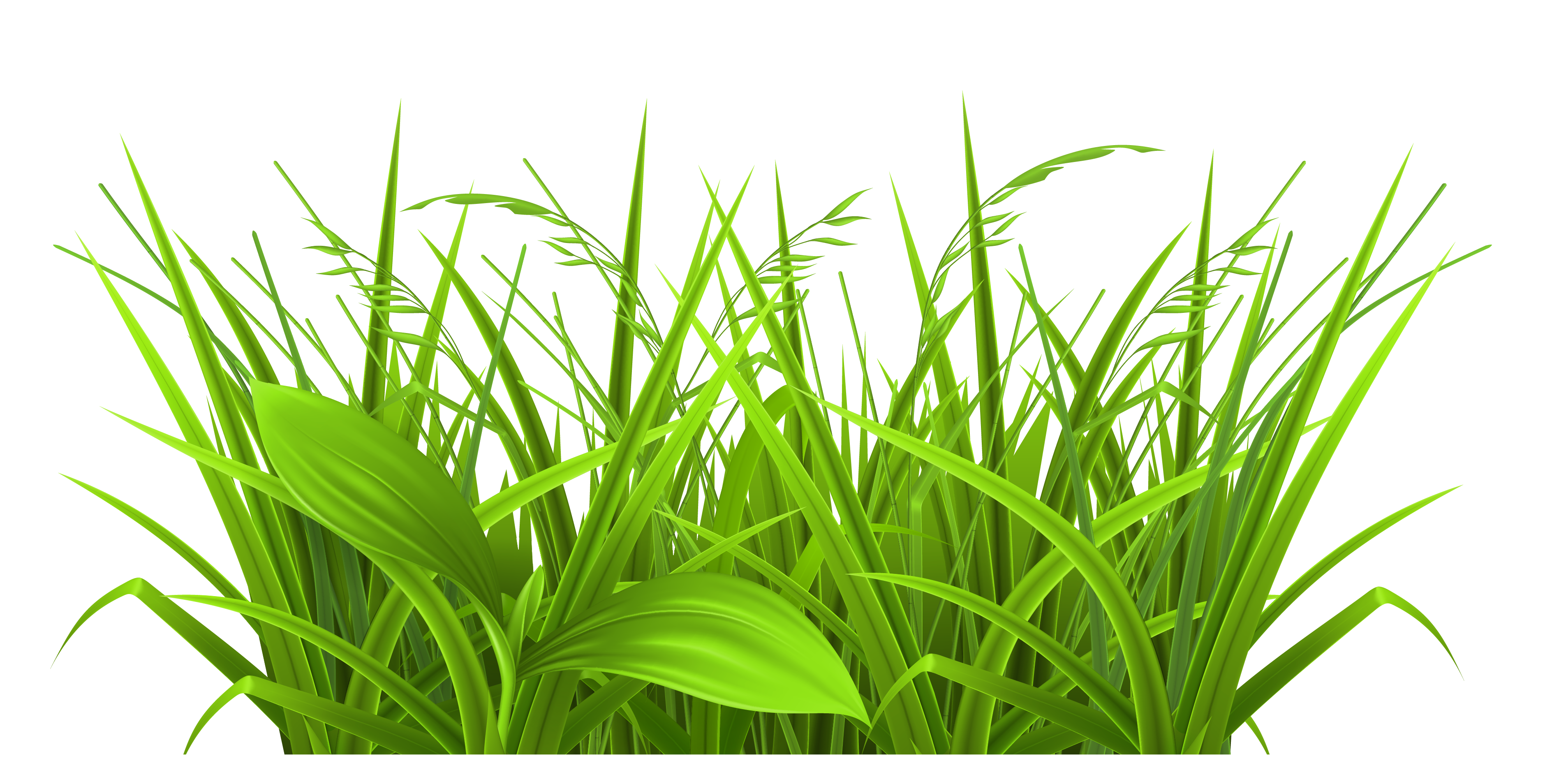 Cartoon Grass - Clipart library