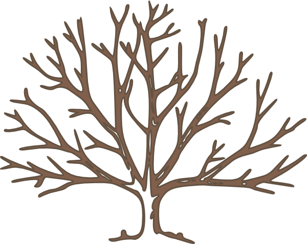 Bare Tree clip art - vector clip art online, royalty free  public 