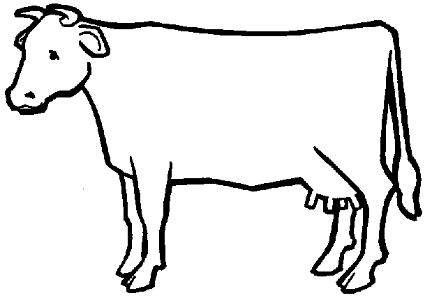 Outline Of A Cow - Clipart library