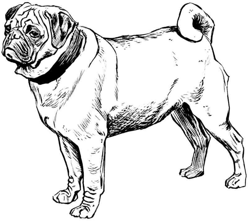 Free Dog Clipart, 12 pages of Public Domain Clip Art
