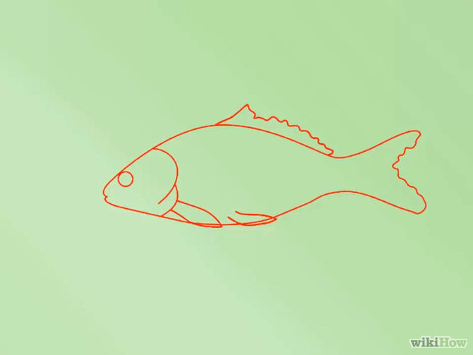 How to Draw a Fish: 15 Steps (with Pictures) - wikiHow