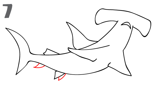 How To Draw a Hammerhead Shark - Step- - Clipart library - Clipart library