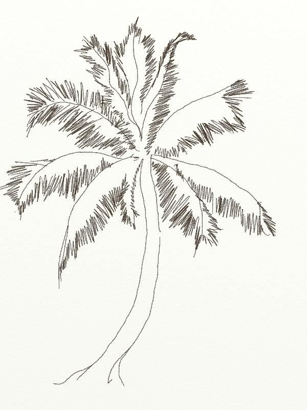 Hand Drawn Summer Coconut Tree Stick Figure Free PNG And Clipart Image For  Free Download - Lovepik | 401693579