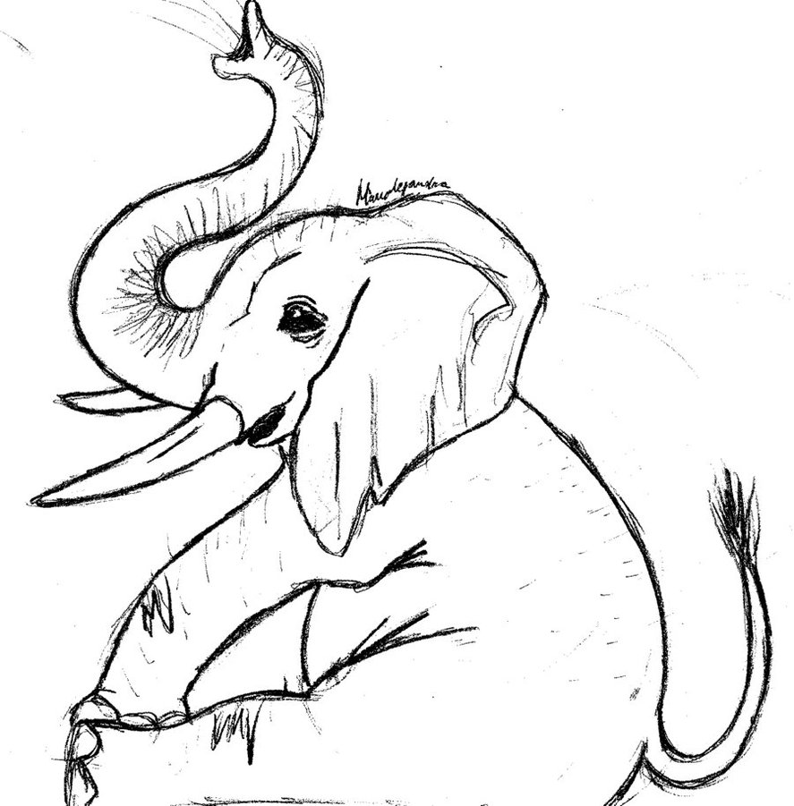 Elephant Line Drawing Print digtial Download - Etsy