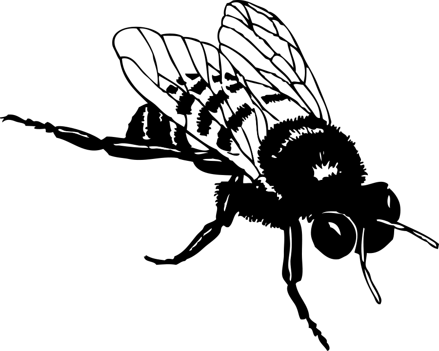 Gambar Gambar Kartun Bee Clip Art Library Bumble Svg Vector File di ...