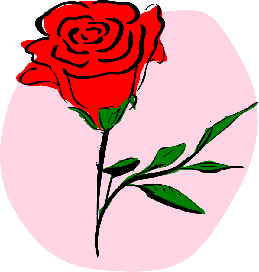 Coloured Rose medium 600pixel clipart, vector clip art