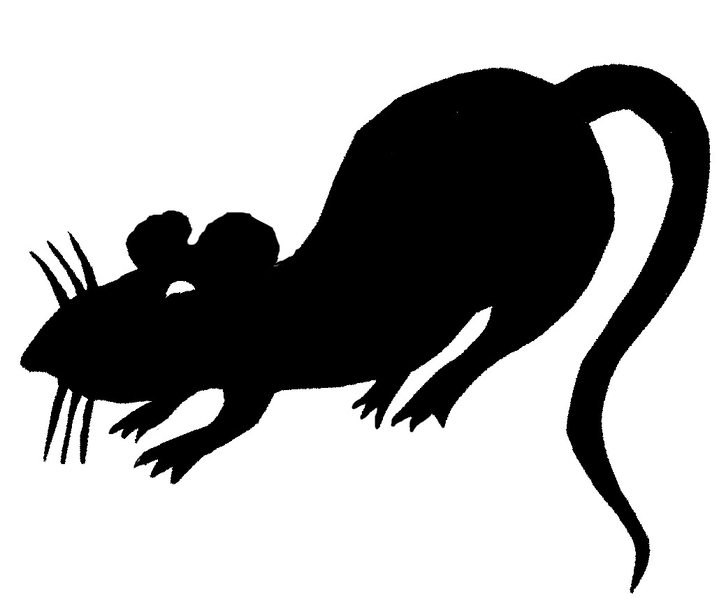 Rats Clipart - Gallery